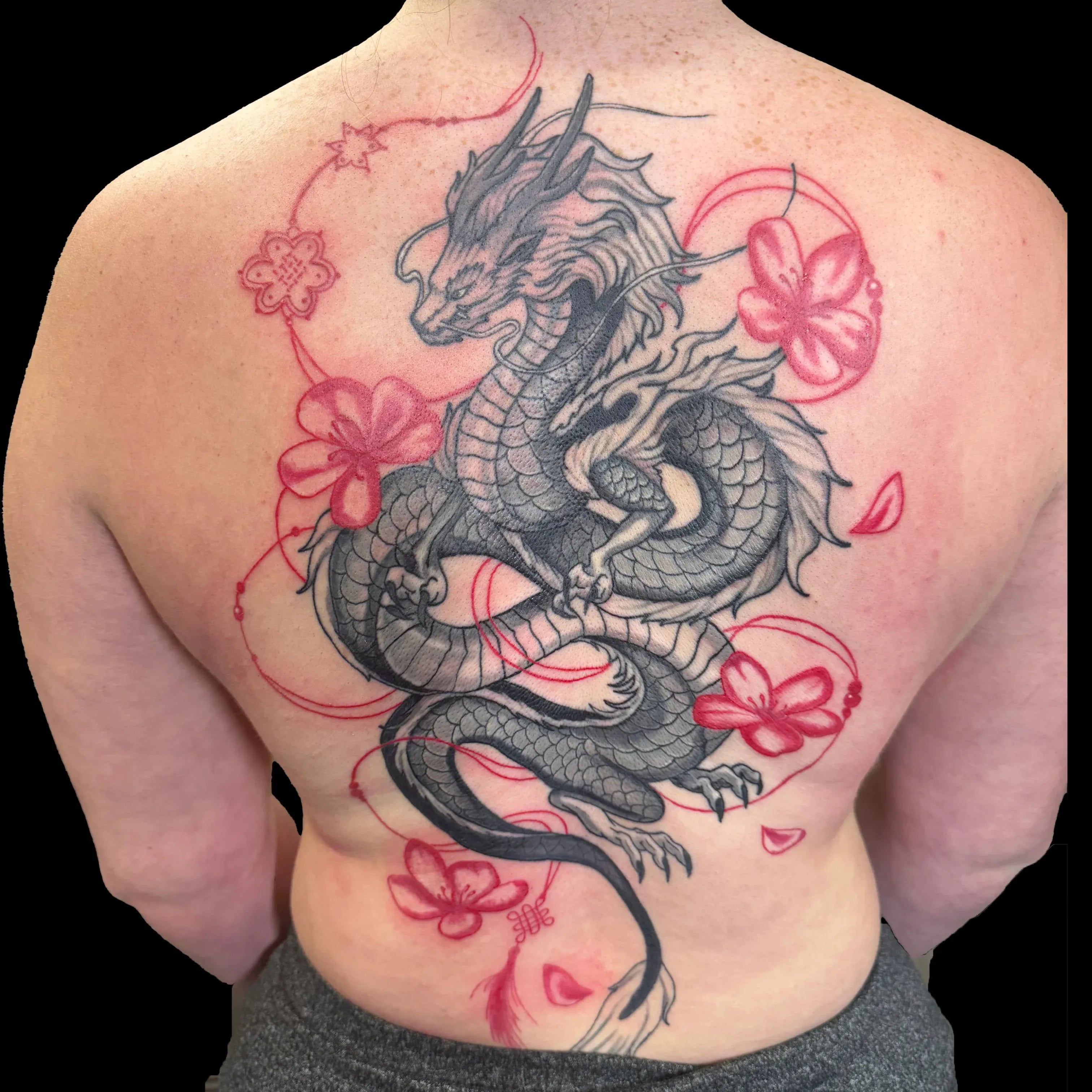 A large-scale back tattoo featuring a detailed black and grey dragon surrounded by delicate red-ink cherry blossoms and flowing line work.