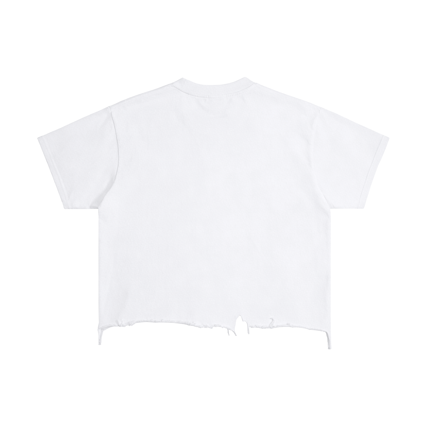 BAEM Snake Vintage Wash Boxy Distressed Hem T-Shirt - Club Tattoo