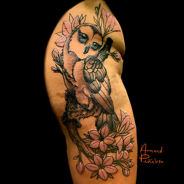 Armand portfolio image 15