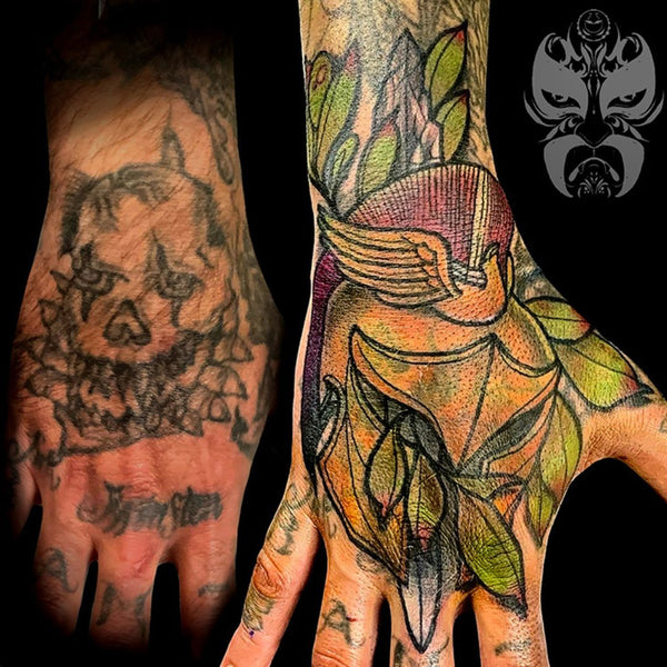 Armand portfolio image 14