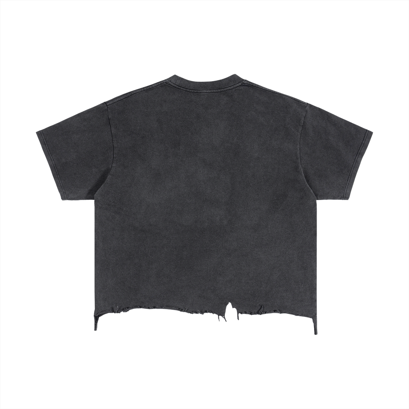 BAEM Snake Vintage Wash Boxy Distressed Hem T-Shirt - Club Tattoo